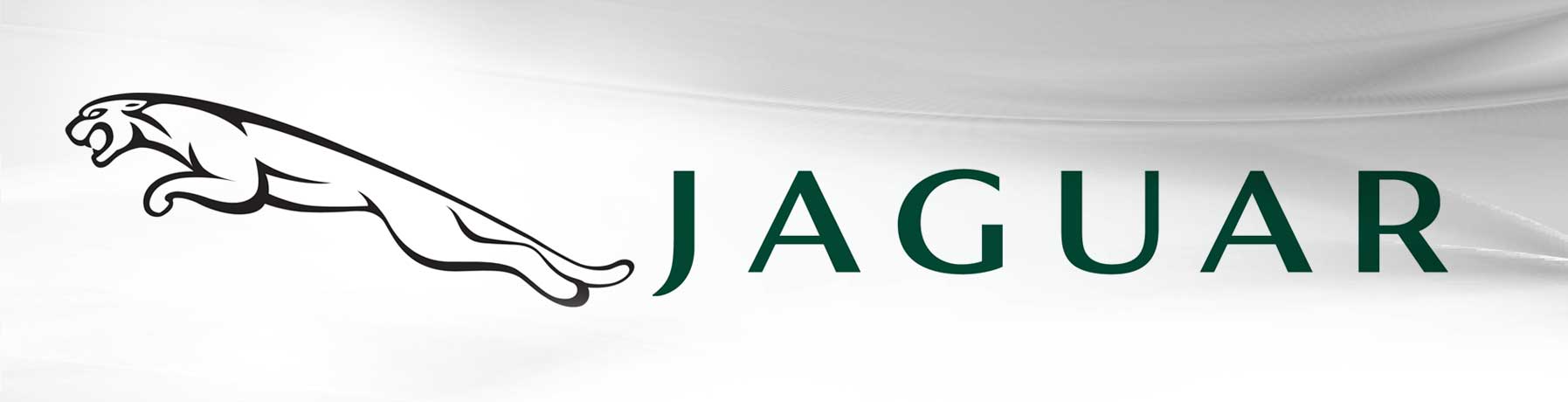 We service Jaguar Vehicles