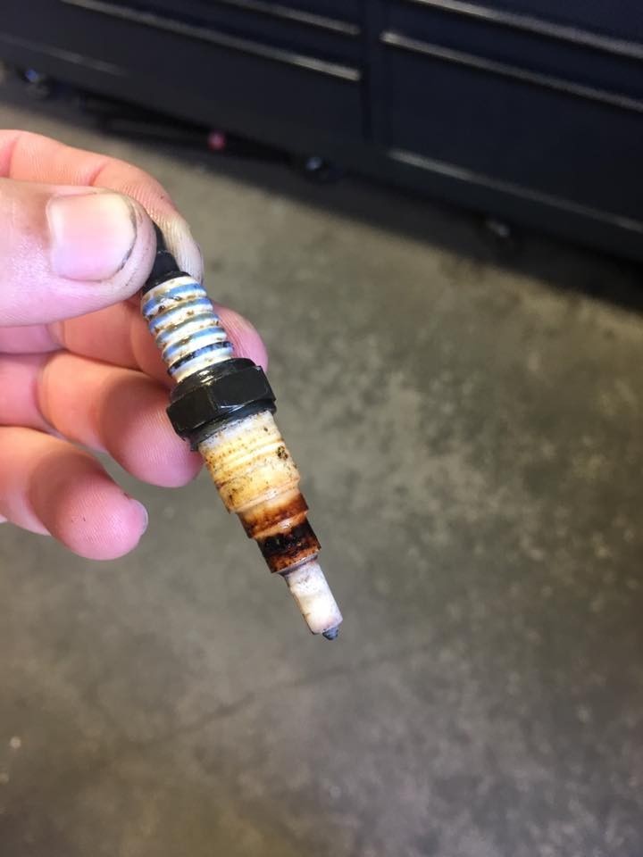 spark plug